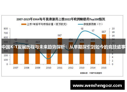 中国K-1发展历程与未来趋势探析：从早期探索到如今的竞技盛事