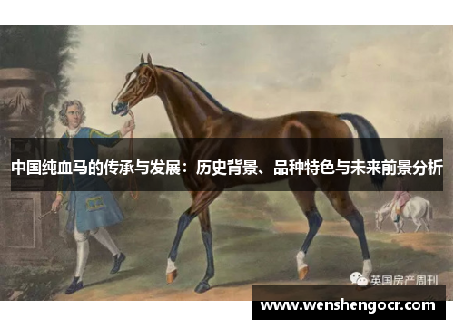 中国纯血马的传承与发展：历史背景、品种特色与未来前景分析
